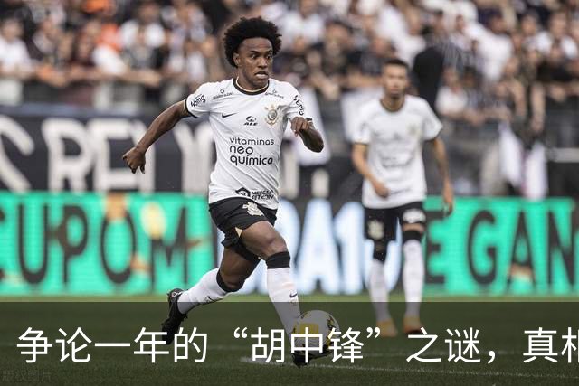 争论一年的“胡中锋”之谜，真相竟藏在策略背后！